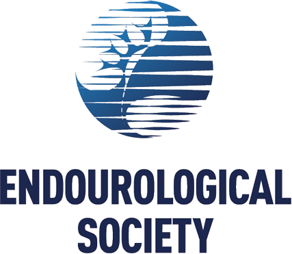 31º Congresso Mundial de Endourologia - EUA