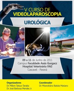 Cursos de Videolaparoscopia Urológica da Master Clínica