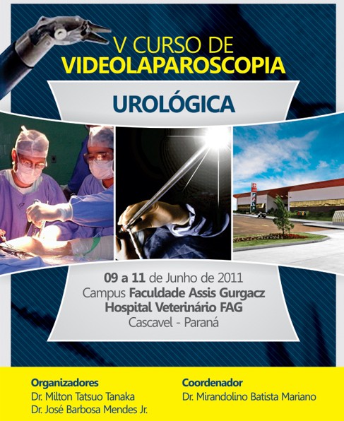 Cursos de Videolaparoscopia Urológica da Master Clínica